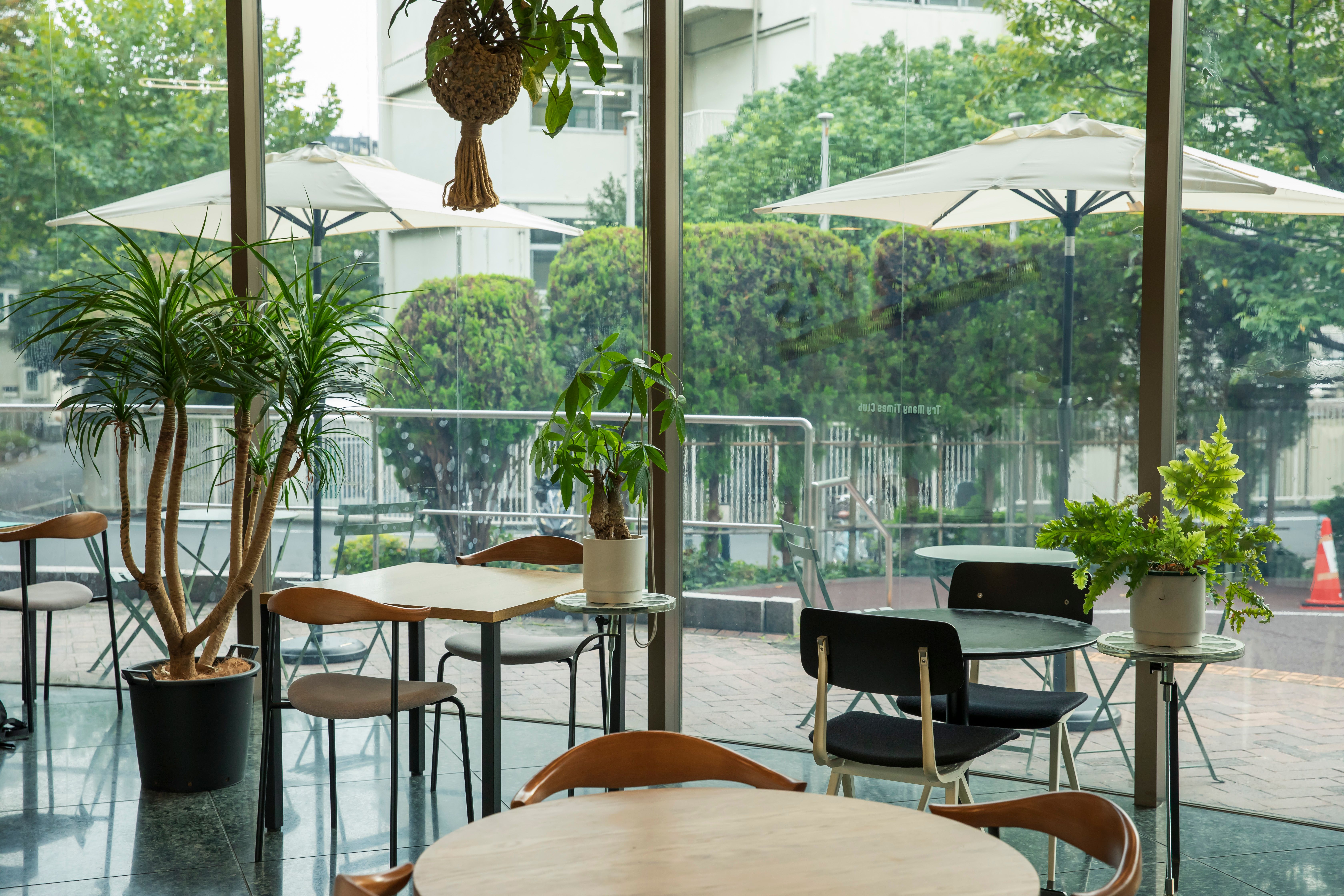 Try Many Times Club/池上駅/3枚